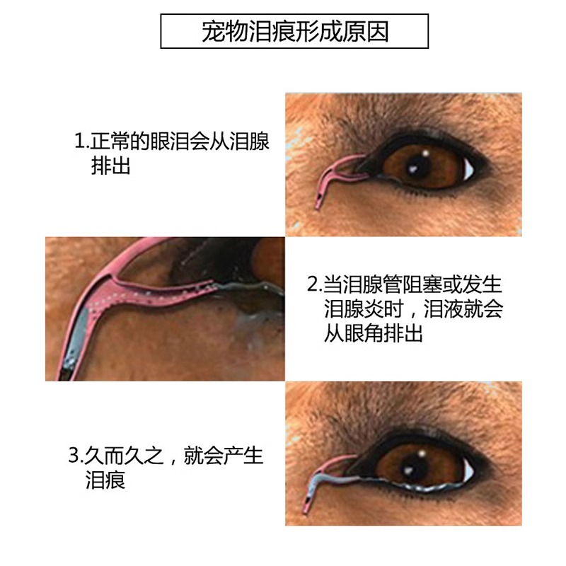 爱眼维泪痕粉狗狗比熊去泪痕眼部清洁神器宠物猫咪去除泪腺液消 - 图0