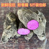 Guangxi Glutinous Rice Purple Yam Fresh and Excavated Purple Footboard French Fries Purple sweet potato Purple Sweet Potato Seeds