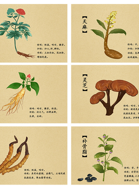 中医中药材识别图诊所走廊墙画