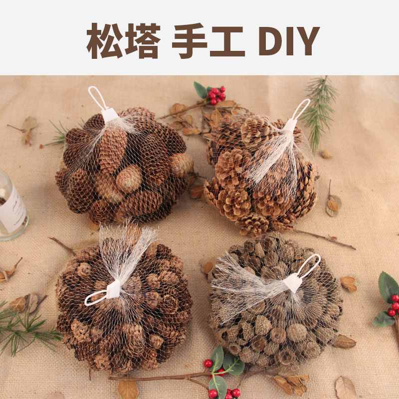 橡果壳果实装饰diy手工制作幼儿园环创材料摆件干橡树果松果干花 - 图1