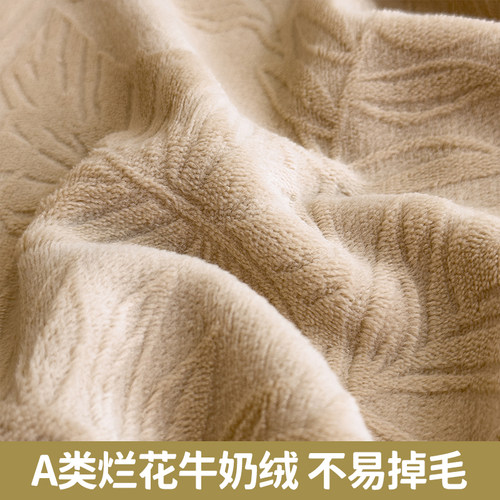 牛奶绒床笠单件秋冬季加厚席梦思床垫保护罩套珊瑚绒床单2024新款 - 图0