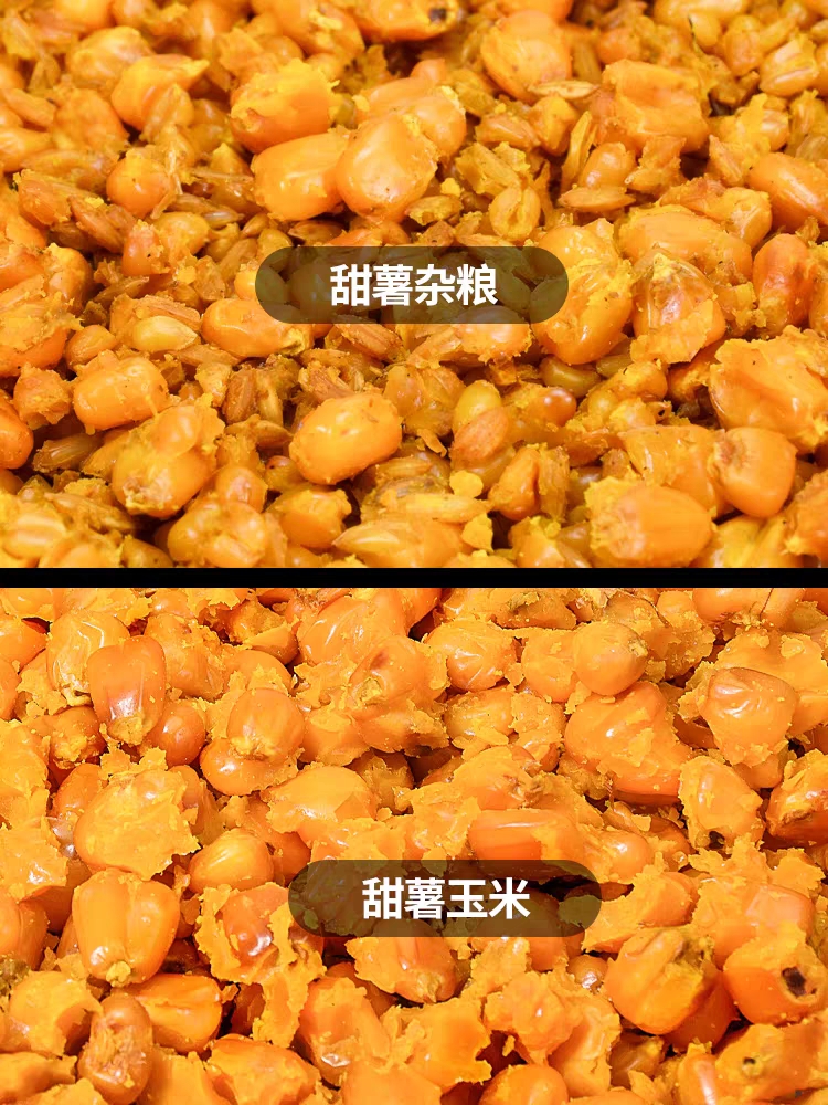 天网海选鱼饵老灶伙食甜薯玉米夏季钓鱼窝料饵料主攻鲤草青鱼鳊鱼 - 图2