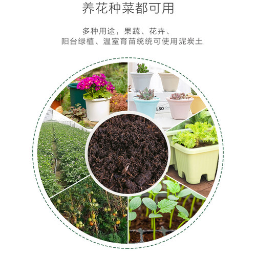 泥炭土腐殖土 腐叶土种菜种花土花泥花卉绿植营养土栽培植料基质 - 图2