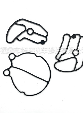 Carburetor Rebuild Kit for Kawasaki Keihin Twin STX SXI 750