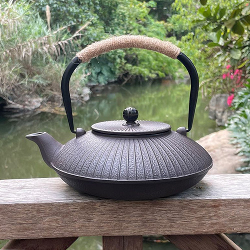 扁型铁壶日式铸铁壶伞形手工南部铁器茶室摆设烧水保温壶复古茶壶 - 图0
