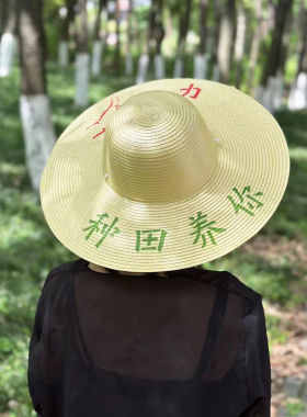 草帽户外田园男女春夏秋