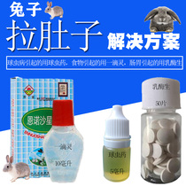 Pet rabbit Common medicine Rabbit Rabbit Diarrhea Medicine Pull Rare Special Medicine Labelly Anti Cocet Drug Stop Laxative Stocky Rabbit Medicine