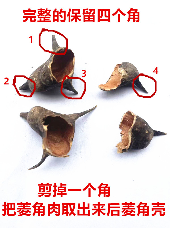 2023自然晒干野生四角红菱壳菱角壳不带肉完整菱角皮菱角蒂 - 图0