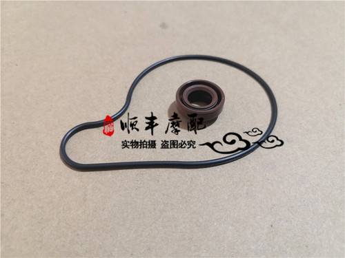 小黄龙BJ250-15/15A水泵轴油封TNT250CC水泵密封圈右盖水泵散件 - 图0