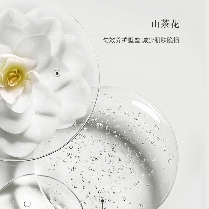 山茶花酵母爽肤水乳液滋润补水保湿清爽焕亮肤色面霜洗面奶学生党,淘宝优惠券,粉丝福利购,淘宝优惠卷