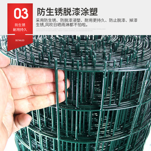 硬塑铁丝网围栏荷兰网防护栅栏养殖养鸡围墙围挡钢丝铁网户外家用 - 图2