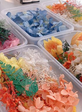 干花永生花diy材料包玻璃罩礼品相框团扇花艺课团建沙龙手工制作