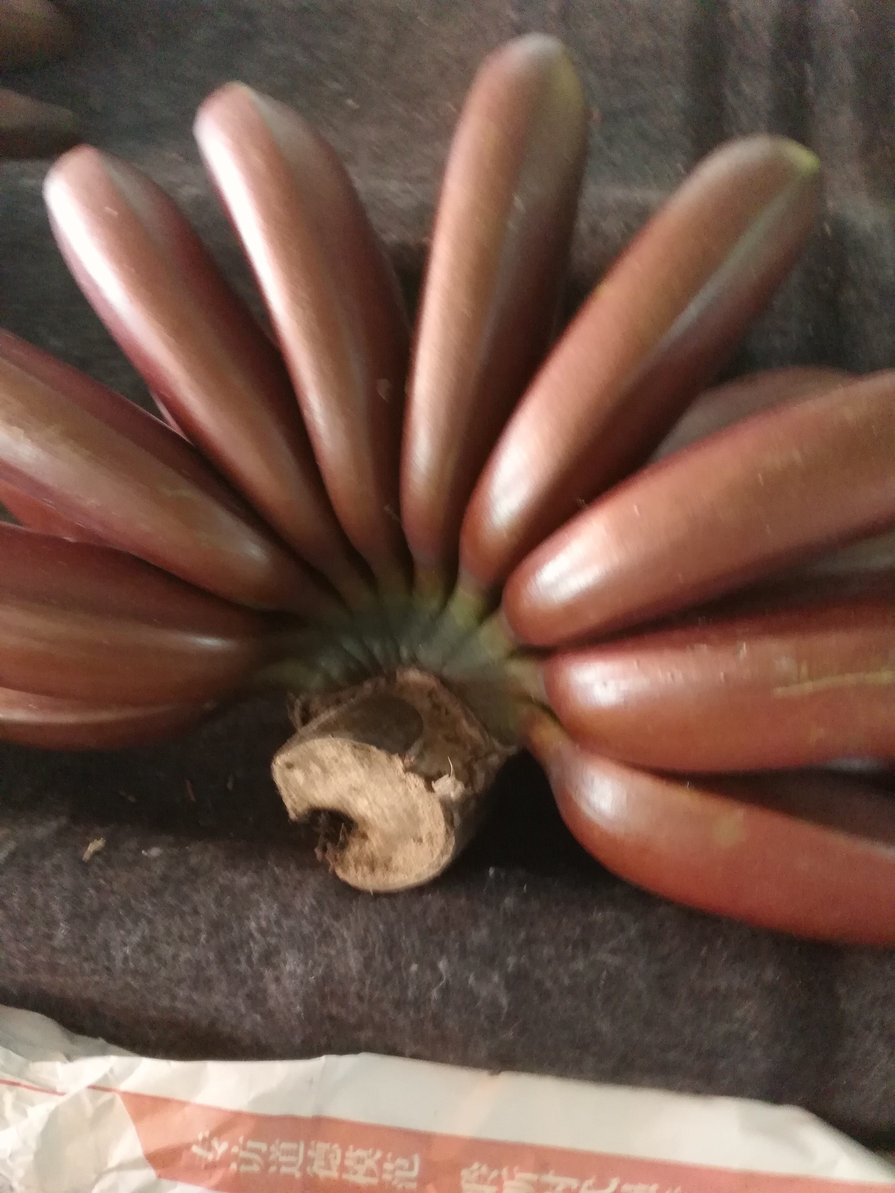 新鲜水果红皮香蕉 5斤包邮美人蕉 咖啡蕉 玫瑰蕉 红色香蕉