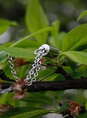 速卖热销许愿瓶吊坠欧美创意蒲公英种子项链男士马鞭链卡哇伊