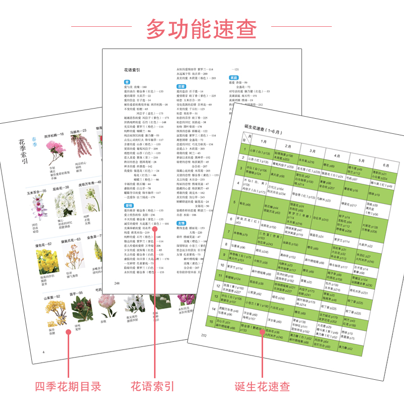 花颜花语 197种常见四季花卉速查图鉴锁定花语、366日诞生花，准确传达自己的心意与情感花图鉴书花朵辨别书-图2