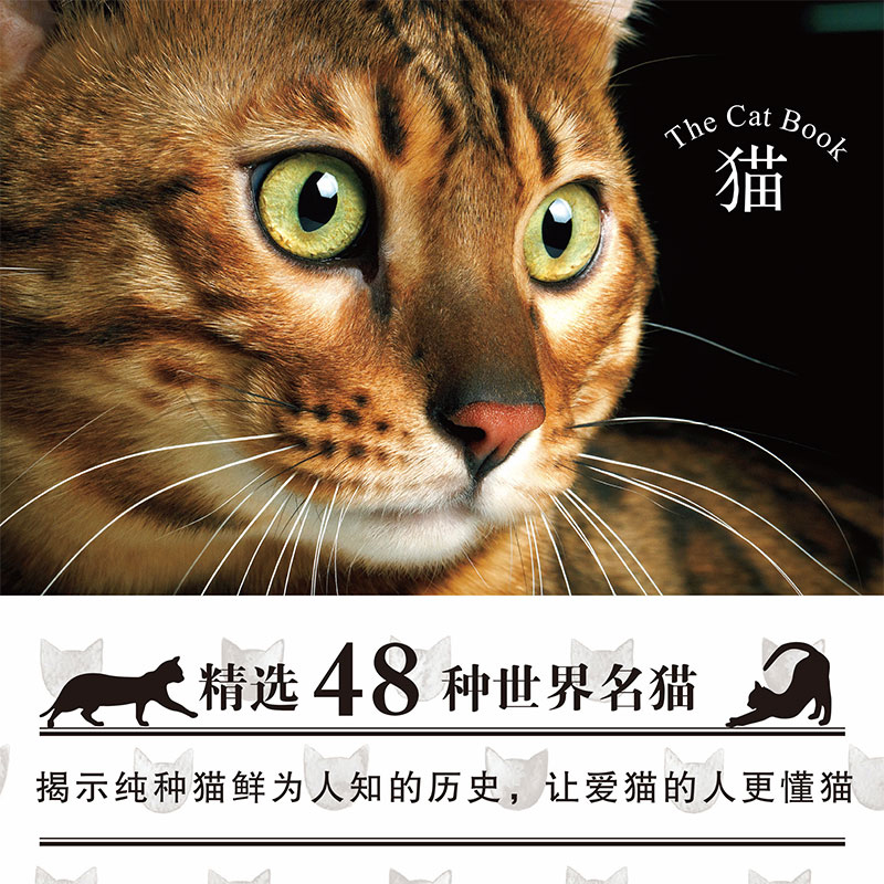 猫百科全书猫图鉴48种世界名猫图鉴猫动物图鉴猫咪书籍养猫指南养猫手册宠物书籍喂养猫的品种大全鉴赏猫咪家庭医学大百科猫咪图书 - 图3