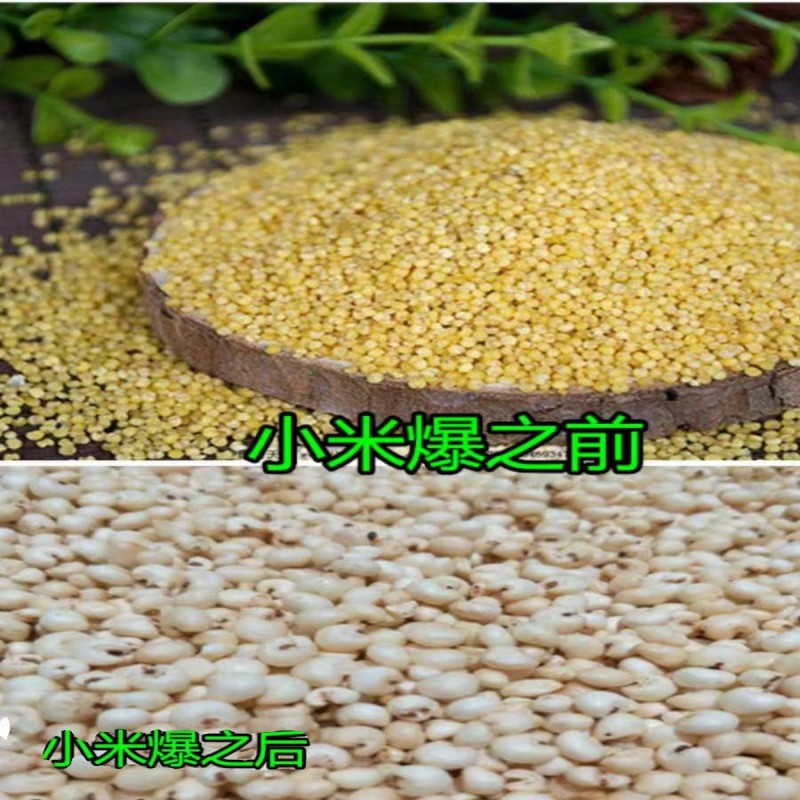 传统爆米花老式炭炉爆小米花 米花糕现爆小米爆米爆谷米花2件包邮 - 图1