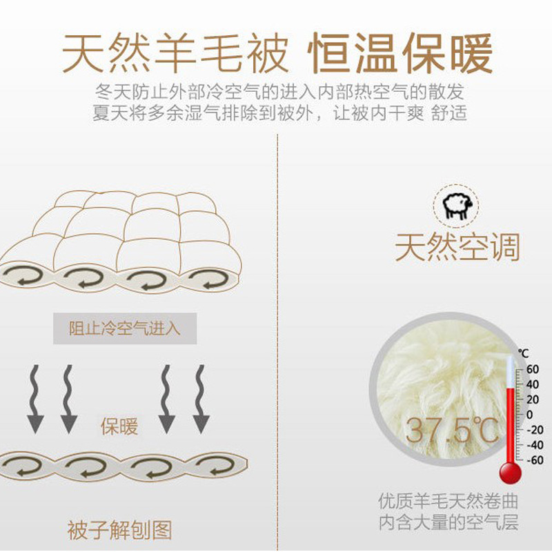 水星家纺大品牌高端7斤澳洲进口羊毛冬被子防钻毛春秋羊绒被芯4斤