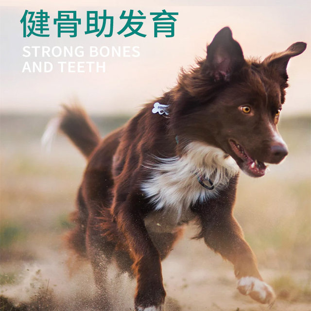 Ayton dog food 40 pounds double golden retriever Satsuma border collie