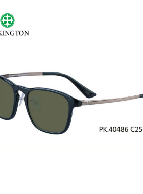 墨镜玻璃偏光太阳镜