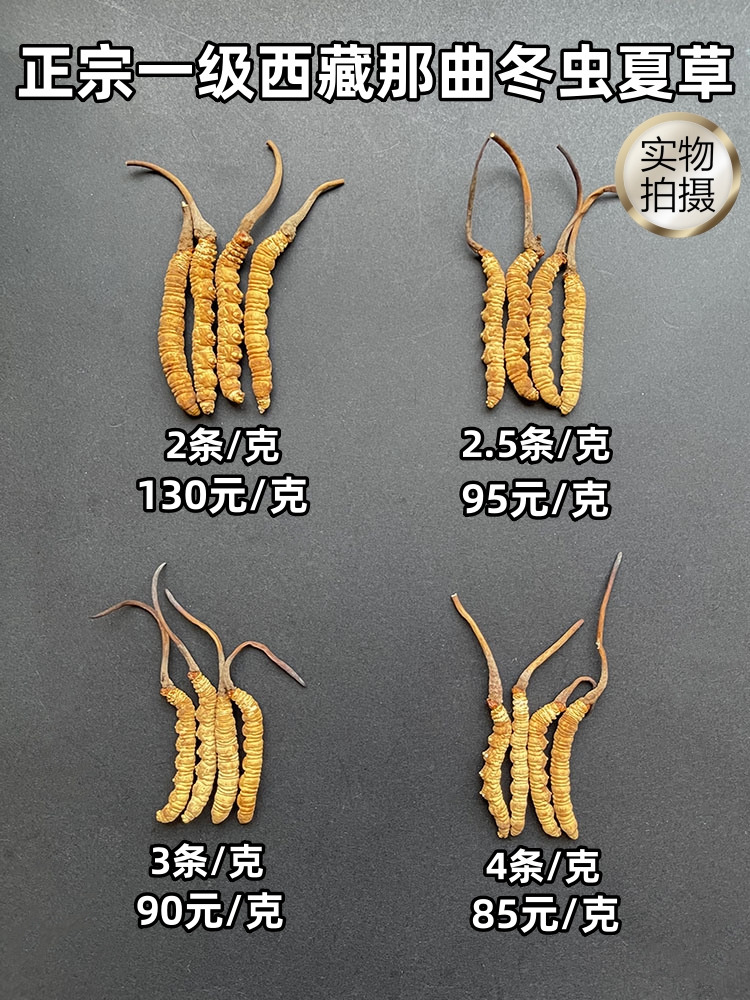 新草西藏那曲冬虫夏草正品头期虫草 青海玉树干货无断虫草礼盒装 - 图1