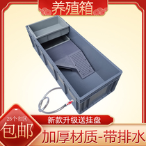 Thickened turtle box turtle tank with sand table drying plastic turtle box home rectangular ecological turtle pond large turtle basin