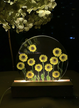 创意DIY滴胶小夜灯花灯