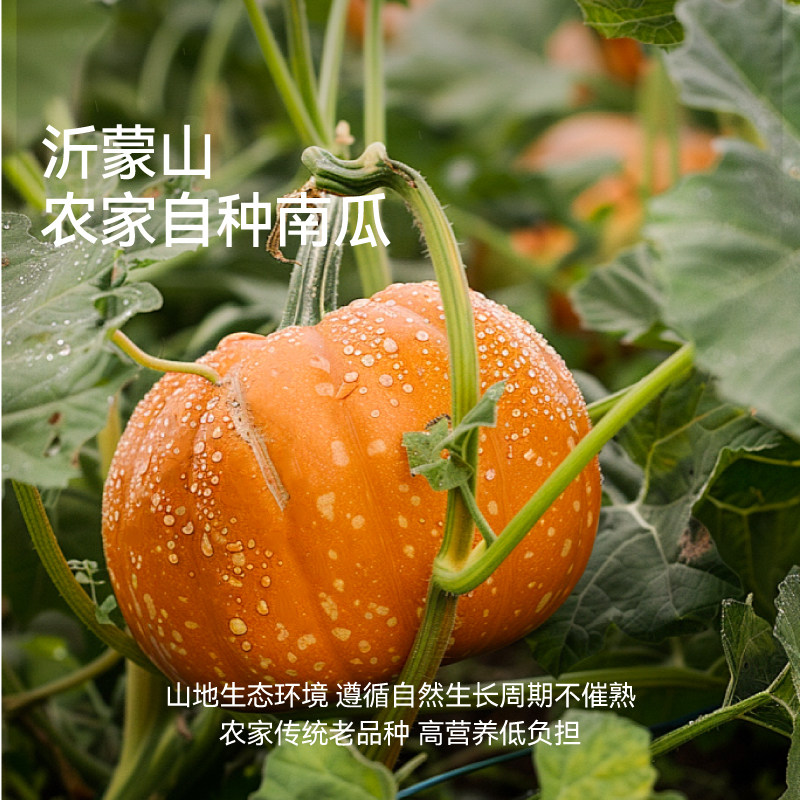 南瓜子酥饼佰味良田孕妇健康零食瓜瓜脆低糖南瓜子饼孕期营养小吃