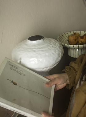 陶瓷水培插花高级感装饰品摆件