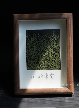 青松翠竹植物标本干花相框摆台放轻松 个性创意办公室摆件伴手礼