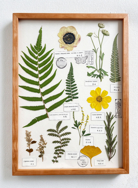 樱桃木叶子标本压花装饰画