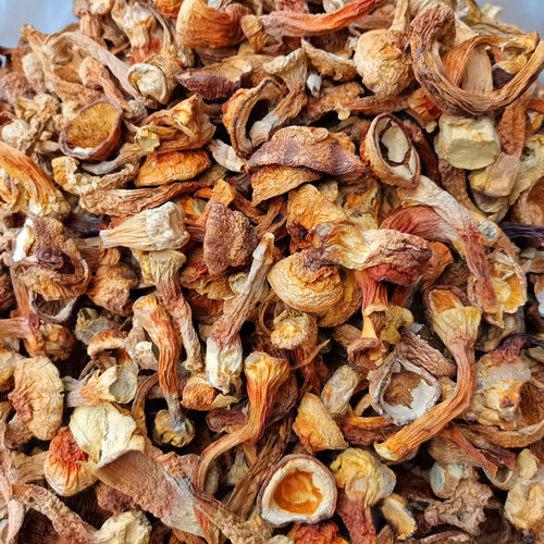 姬松茸菌干货B级巴西蘑菇云南丽江特产实惠款鲜香美味营养250克 - 图0