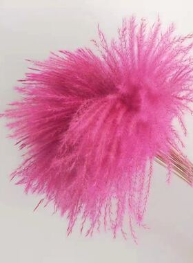 芦苇干花束永生花摆件