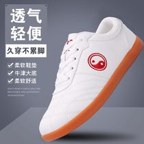 Chen Jiagou Tai Chi Shoes Flagship Store Men And Womens Genuine Leather Martial Arts Shoes Taijiquan Martial Arts Special Shoes Autumn Winter Non-slip