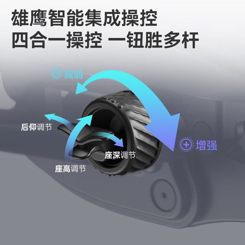 Ergonor保友优b雄鹰电脑椅人体工学椅家用电竞椅办公椅子老板椅,淘宝优惠券,粉丝福利购,淘宝优惠卷