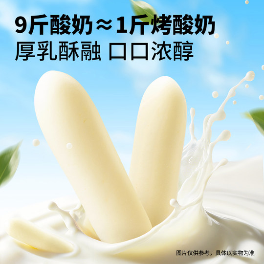 Three Squirrels_Prairie Roasted Yogurt 118g can