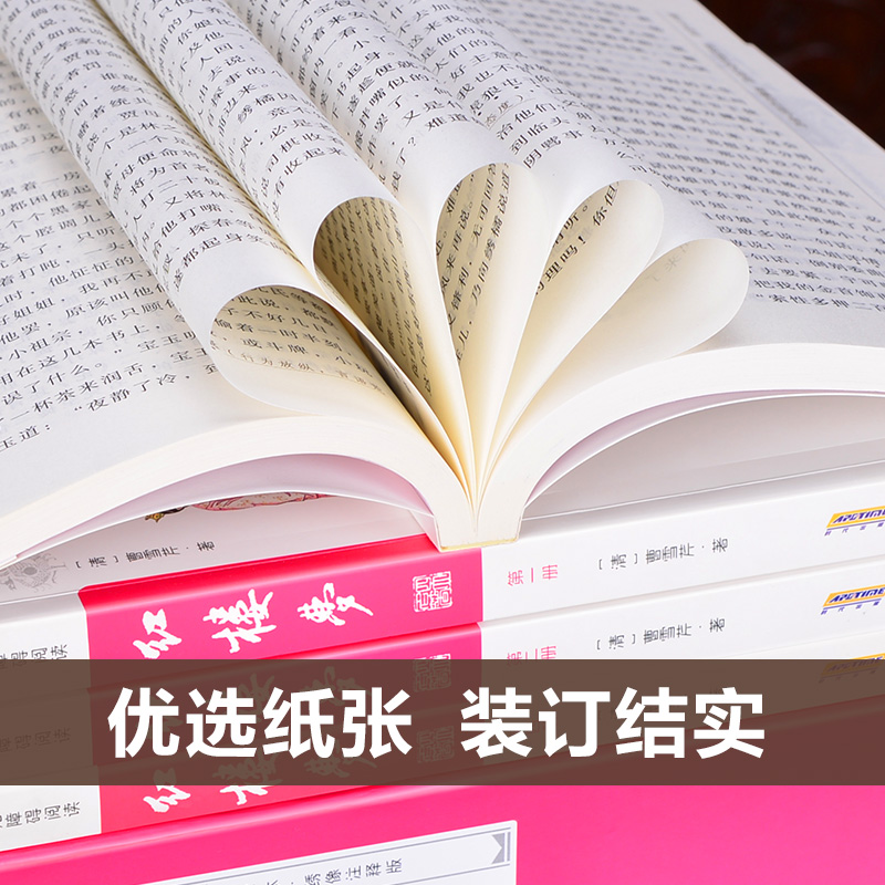 红楼梦原著正版高中生 疑难字注音带注释 青少年版阅读大字本绣像版 无删减四大名著全套原著正版之一中国古典小说经典文学名著 - 图2