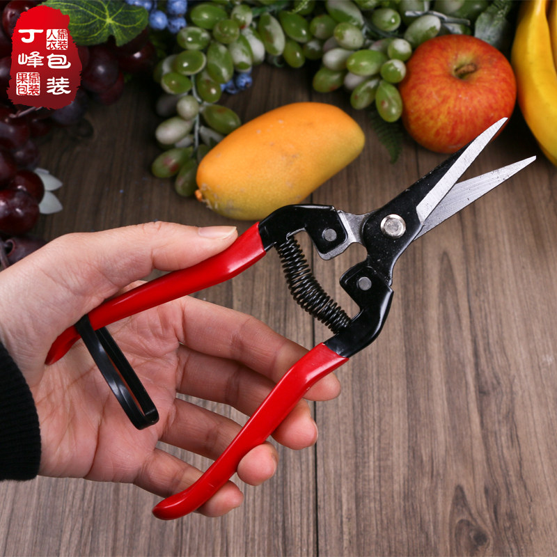 桔子剪葡萄剪修枝剪刀 水果超市柑橘剪稀果剪修花摘果剪树剪刀,淘宝优惠券,粉丝福利购,淘宝优惠卷