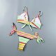 Maillot de bain bikini deux pièces à bretelles spaghetti arc-en-ciel