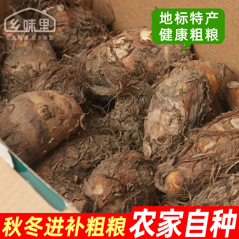 泰兴特产黄桥祁巷香荷芋新鲜毛芋头紫红糯结实香芋艿食补粗粮包邮 - 图0