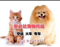 Nanjing Shanghai Beijing Guangzhou random quarantine cat dog pet consignment national Chengdu Shenyang air transport special train