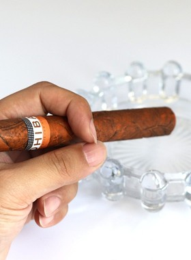 拍摄玩具仿真假道具雪茄样板房雪茄古巴雪茄服饰配件高希霸