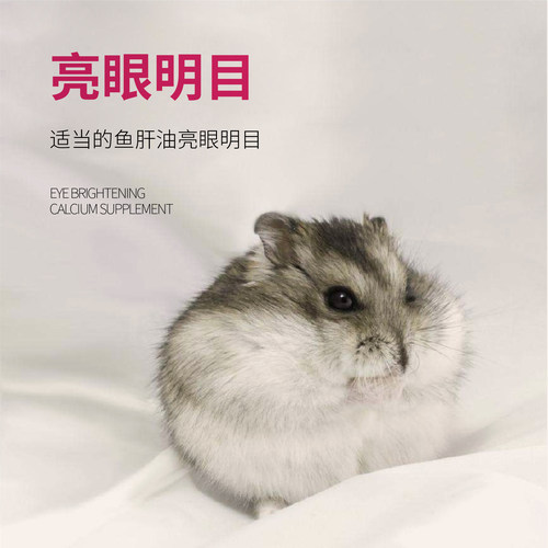 Jolly祖莉仓鼠粮2.5kg 营养五谷配方 金丝熊食物粮食主粮饲料5斤 - 图1