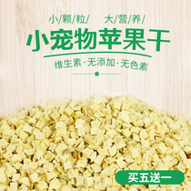 Apple Dry Apple Grain 20g Prevention Constipation Supplement Vitamin Dragon Cat Rabbit Hamster Snacks Buy Five Delivery One