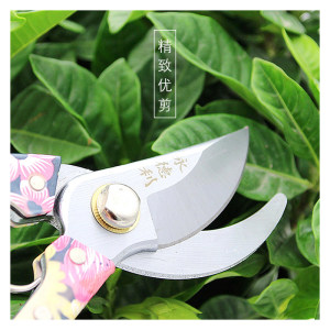 永德利树枝剪刀园林剪子商用盆景花卉整枝剪刀小树苗修枝剪鲜花剪