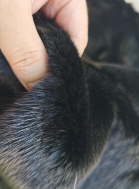 水貂毛块皮保暖衣服下脚料护膝