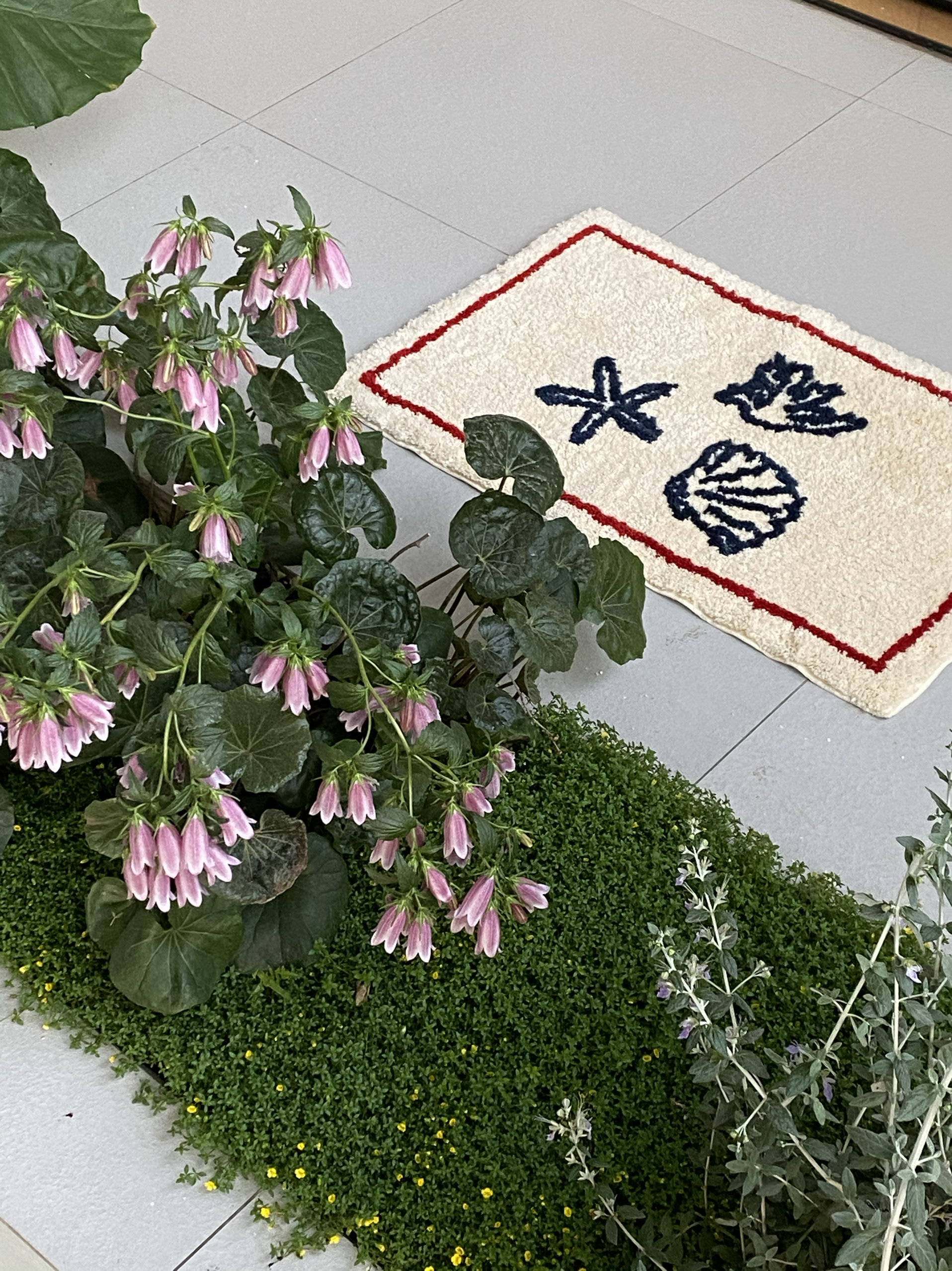 ARISUSPACE海星与贝壳法式簇绒地毯家用卫生间防滑垫卧室垫子房间,淘宝优惠券,粉丝福利购,淘宝优惠卷