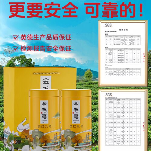 正品英德红茶英红九号金毛毫特级浓香型春茶2026新茶一斤高山老树 - 图1