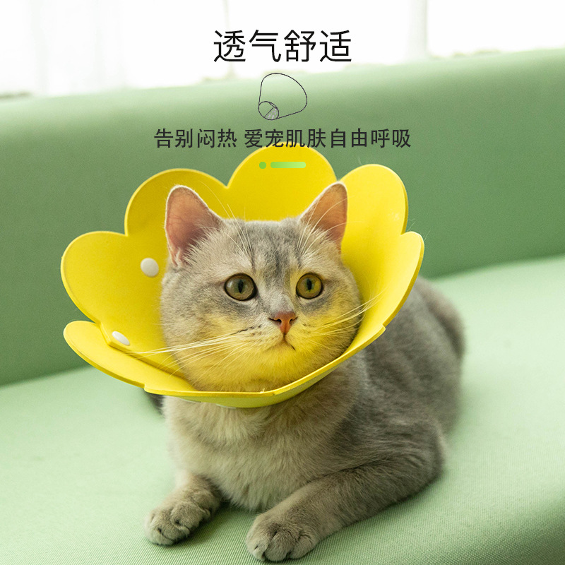 猫咪伊丽莎白圈猫脖圈狗项圈太阳花EVA海绵轻薄防舔头套绝育用品 - 图1