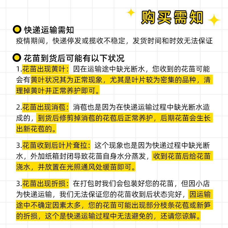 花莳园艺【月季绣球花苗福利】专属链接 非偏包邮不售后超值特惠 - 图0